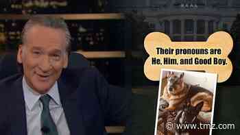 Bill Maher Biden Celebrates President Joe Biden's Woke Dogs