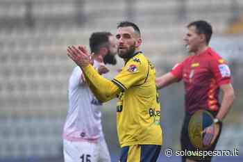 Secondo posto e quell'abbondanza in attacco: il ritratto del Modena - Solo Vis Pesaro
