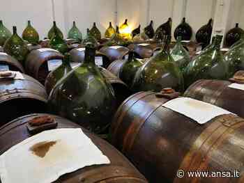 Brexit: Aceto Balsamico Modena Igp,troppe formalità doganali - Terra & Gusto - Agenzia ANSA