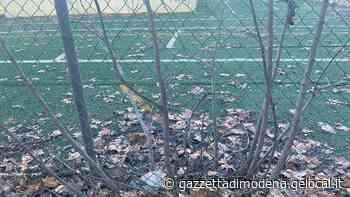 Modena. Centro Invicta, il gioiello dello sport abbandonato nel degrado - La Gazzetta di Modena