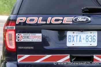 Toronto man arrested, fentanyl and cocaine seized - Tbnewswatch.com