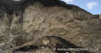 See heart-stopping moment cliff in South Tyneside collapsed onto beach