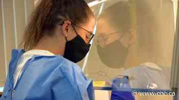 Lab tech who found B.C.'s 1st case of COVID-19 recalls 'sheer terror' of discovery