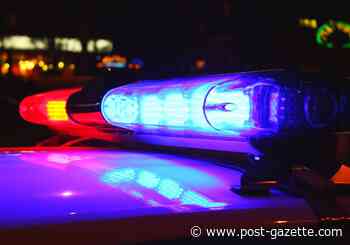Police: Man pronounced dead near Monongahela River