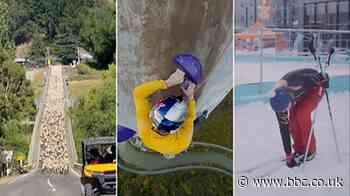 Sheep, something steep and a ski city