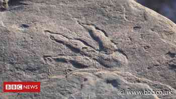 Dinosaur footprint found by girl, four, on Barry beach