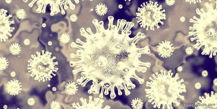 State reaches coronavirus vaccine milestone, more than 1,400 new cases confirmed Saturday - WBAY