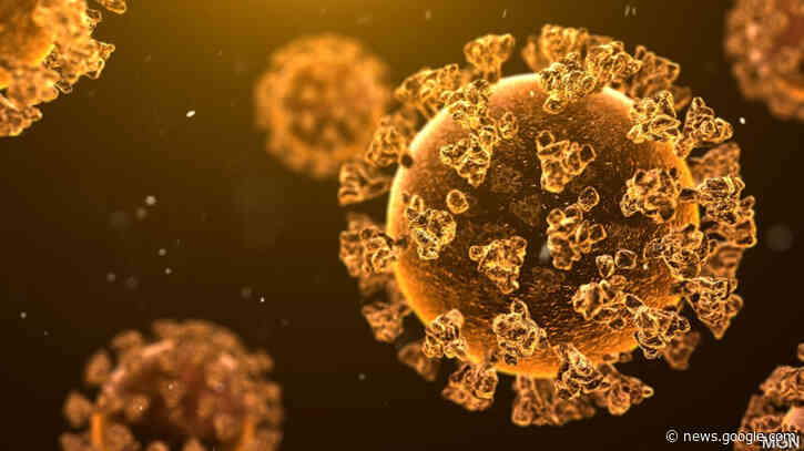 Oregon reports 19 more COVID-19 deaths, 2 in Deschutes County - KTVZ