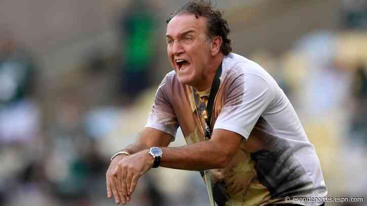 Técnico de Santos es expulsado y salta a la grada con los aficionados - ESPN Deportes