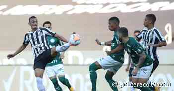 Palmeiras vs Santos EN VIVO: alineaciones, mejores jugadas y estadísticas de los jugadores - Gol Caracol