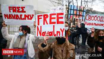 Navalny protests: Russia threatens TikTok with fines over protest posts