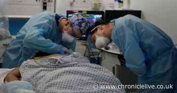 Eight every day - the average Covid death toll in North East hospitals