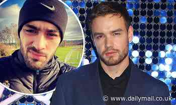 Liam Payne hints Zayn Malik WON'T be part of One Direction reunion - Daily Mail