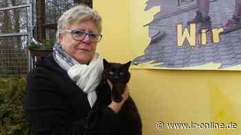 Corona in Spree-Neiße: Corona sorgt in Guben für mehr Tiervermittlungen - Lausitzer Rundschau