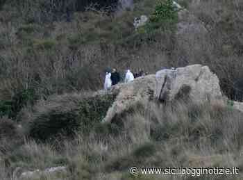 Morte Roberta Siragusa: Gip non convalida fermo ma dispone carcere - Sicilia Oggi Notizie