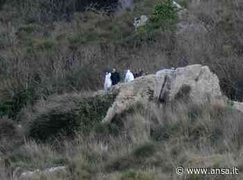Ragazza uccisa: Gip non convalida fermo ma dispone carcere - Agenzia ANSA