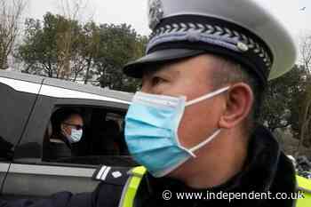 WHO teams visits Wuhan food market in search of virus clues - The Independent