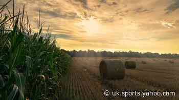 Covid lays waste to fragile, unjust food system in need of rescue - Yahoo Eurosport UK