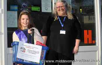 Magical Teagan in food bank fundraiser | News - Mid-Devon Advertiser