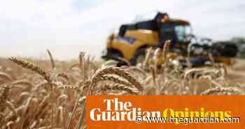 Covid crisis is fuelling food price rises for world's poorest - The Guardian