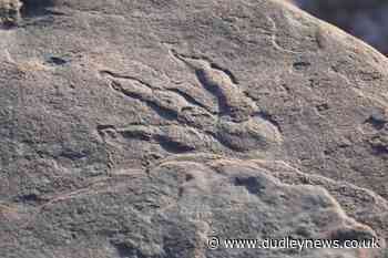 Four-year-old girl discovers dinosaur footprint on beach in Wales - Dudley News
