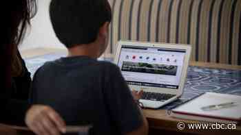 Disrupted schooling, learning loss will have effects long after pandemic, say education experts