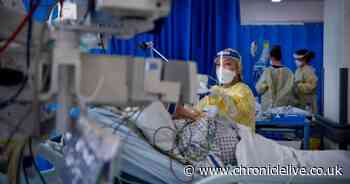 One year of Covid and North East hospital numbers at highest ever level