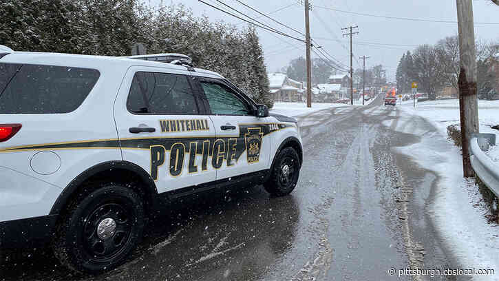 Whitehall Police, Crews Respond To Ammonia Leak At Schneider’s Diary