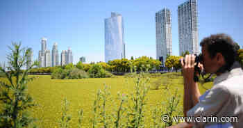Buenos Aires presentó sus propuestas para disfrutar del verano en la ciudad - Clarín