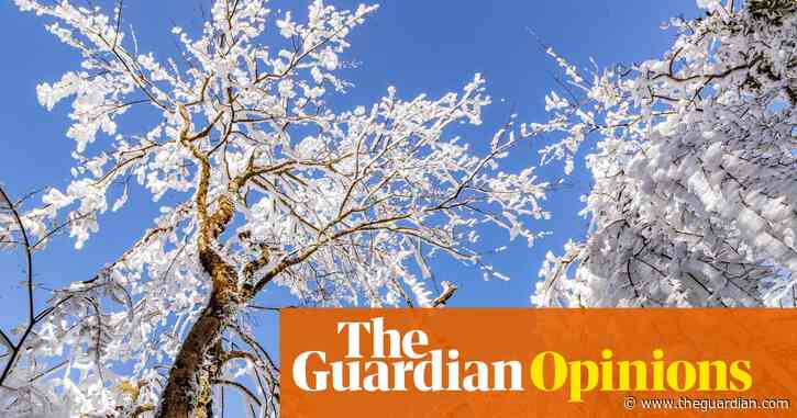 The Guardian view on climate progress: the need for speed | Editorial