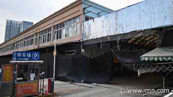 WHO team investigating pandemic visits wet market, receives flu data