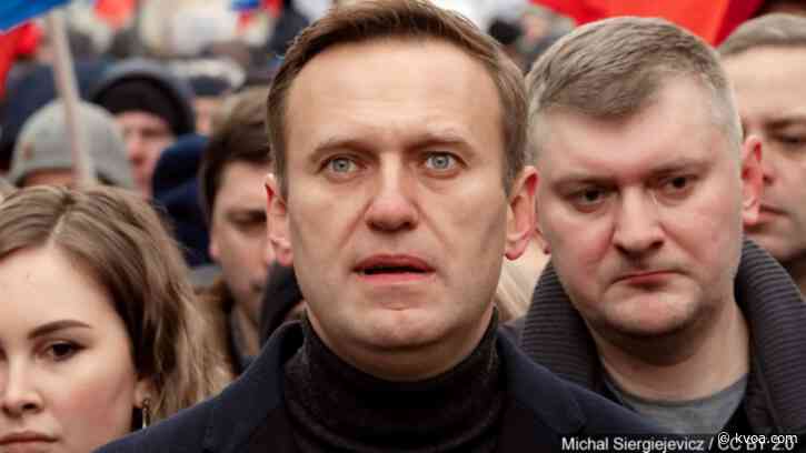 Over 5,000 arrested at pro-Navalny protests across Russia