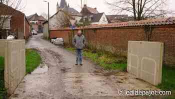 HERNE - Waterpeil heel hoog maar onder controle - Editiepajot