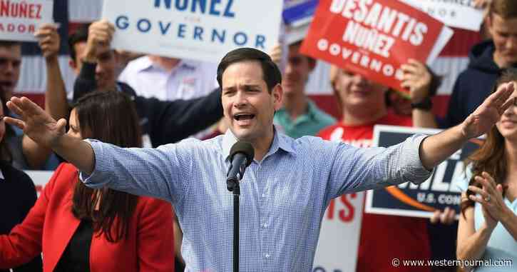 Top Florida Dems Are Terrified to Challenge ‘Almost Unbeatable’ Marco Rubio for Senate