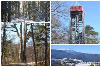 Ausflüge im Bezirk Neunkirchen: Winterwanderung von Pottschach auf den Gfieder und zum Vierbrüderbaum - Neunkirchen - meinbezirk.at