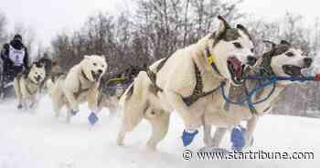 And they're off! John Beargrease sled dog race carries on despite pandemic