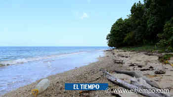 San Antero rescatará 5 kilómetros de su playa - ElTiempo.com