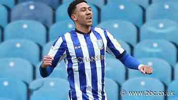 Sheffield Wednesday 1-0 Preston North End: Liam Palmer goal gives Owls vital win
