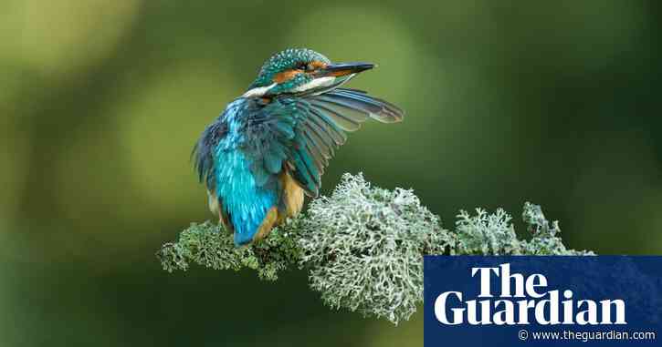 Country diary: all the water’s a stage for this dramatic display of nature