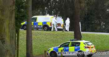 Body of baby boy found in woods at a golf course - Belfast Live