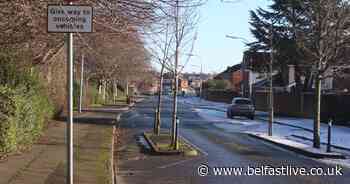 Call to 'complete development' of East Belfast greenway - Belfast Live