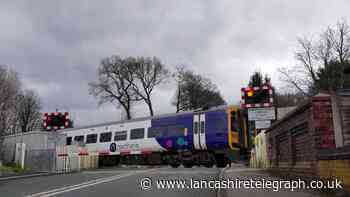 Train forced to make emergency stop after 6 people spotted taking selfies on tracks