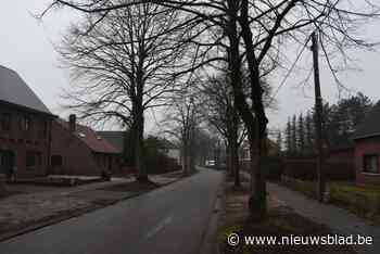 Impasse rond bomen legt heraanleg Onze Lieve Vrouwstraat lam