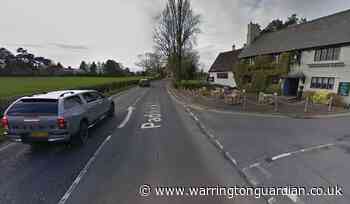 Puppy found dead on Paddock Lane after suffering burns