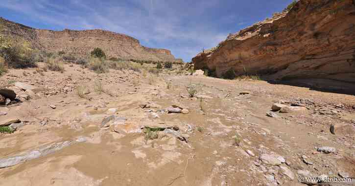 Utah’s 10-year battle over disputed roads crisscrossing public lands likely just got a lot longer