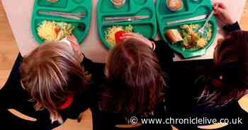 Newcastle free school meal promise after half-term fears