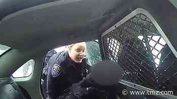 Rochester Police Pepper Spray 9-year-old Girl