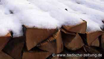 Klimawandel, Käfer und Corona - Steinen - Badische Zeitung - Badische Zeitung