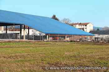 Steinen: Radonkonzentration und Fotovoltaik - Verlagshaus Jaumann - www.verlagshaus-jaumann.de