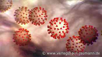 Steinen: Schüler und Lehrer in Quarantäne - Verlagshaus Jaumann - www.verlagshaus-jaumann.de